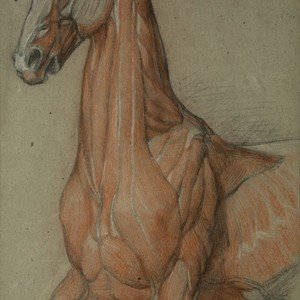A Group of Five Pencil and