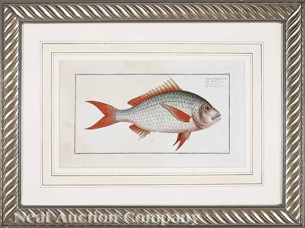 A Group of Four Antique Prints of