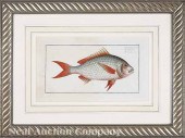A Group of Four Antique Prints