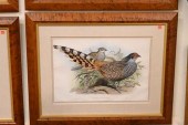 A GROUP OF FOUR JOHN GOULD (18