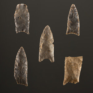 A Group of Paleo Points Paleo