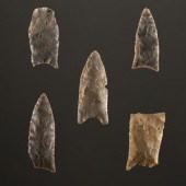 A Group of Paleo Points
Paleo