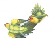 A Group of Royal Worcester Dor