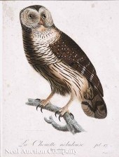 A Group of Three Antique Bird