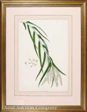 A Group of Three Antique Botan