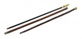 A Group of Three Canes compris