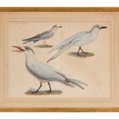A Group of Two Hand Colored En