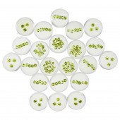 A GROUP OF UNMOUNTED PERIDOTS