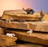 A GROUP OF ZUNI STONE FETISH A