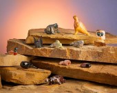 A GROUP OF ZUNI STONE FETISH A