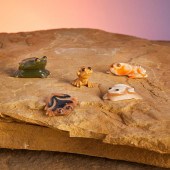 A GROUP OF ZUNI STONE FETISH A