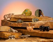 A GROUP SOUTHWESTERN STONE FET