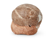 A HADROSAUR EGG FOSSIL<br>A ha