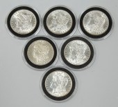 A HALF DOZEN MINT STATE MORGAN