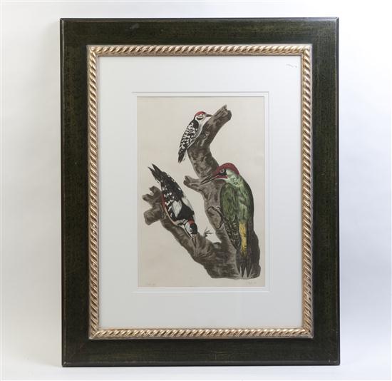 A handcolored engraving of a