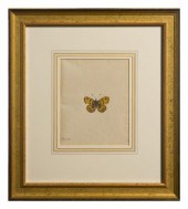 A Handcolored Entomological Il