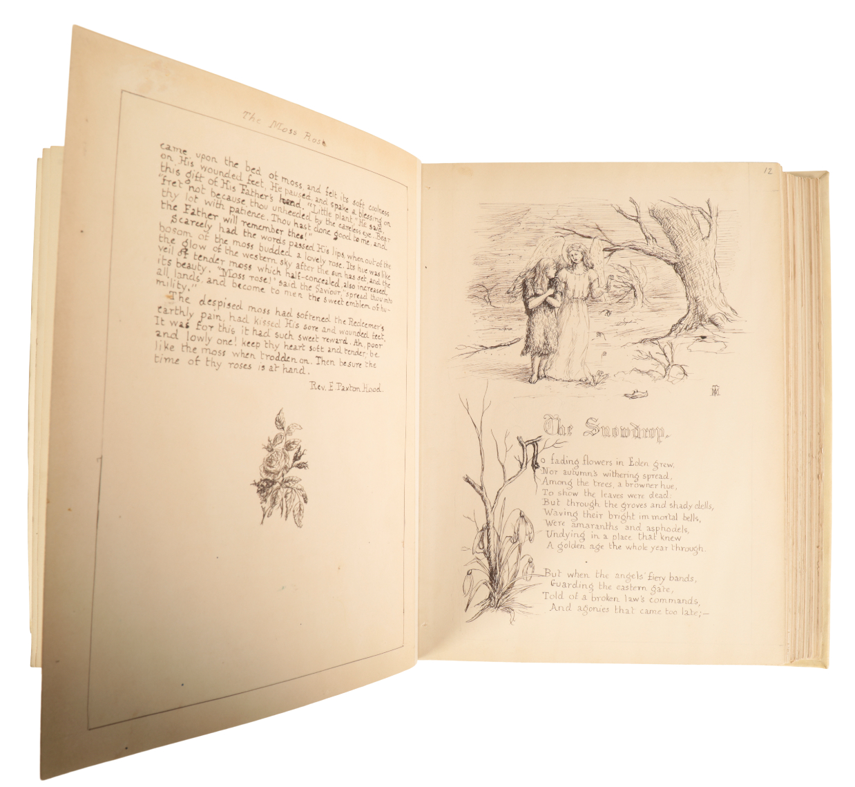 A HANDWRITTEN AND ILLUSTRATED