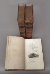 A History of British Birds vol