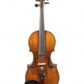 A Joseph Guarnerius Style Pine