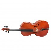A LABELED CECILIO CELLO MODEL