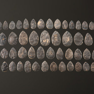 A Large Cache of Hornstone Blades