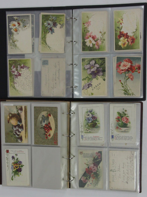 A large collection of Catherina