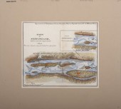 A Large Collection of  Maps of