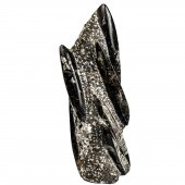 A LARGE POLISHED FOSSILIZED OR