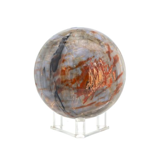 A LARGE POLISHED PETRIFIED WOOD
