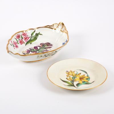 A large Spode botanical