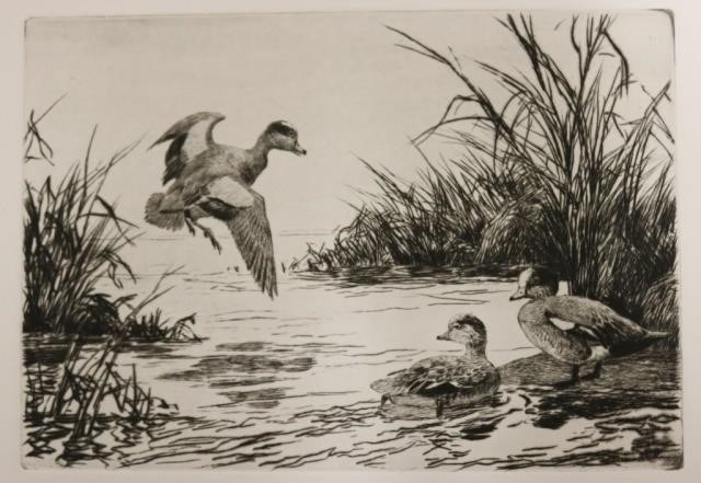 A. LASSELL RIPLEY (1896-1969),