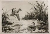 A. LASSELL RIPLEY (1896-1969),