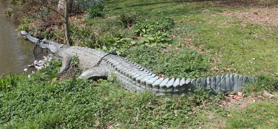A lifesize bronze crocodile with