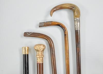 A Lot of Five Walking Sticks with