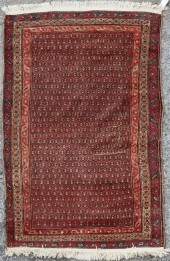 A MALAYER RUGA Malayer rugappr