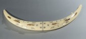 A MATCHED PAIR WALRUS TUSKS jo