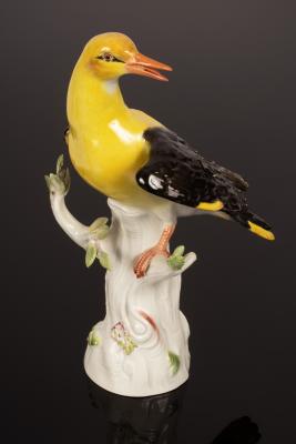 A Meissen model of a Golden Oriole,