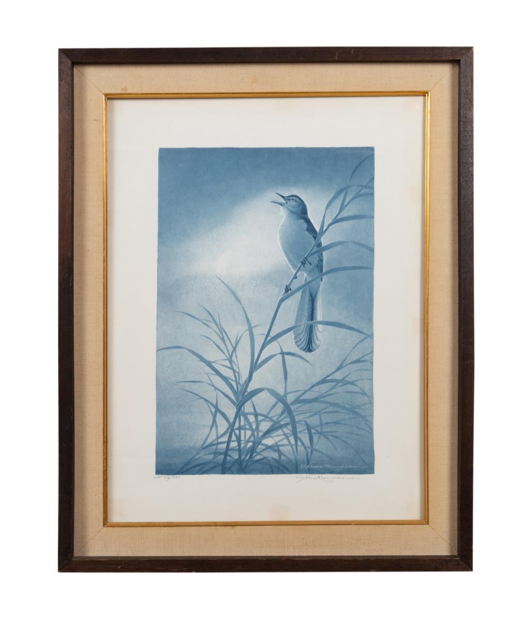 A. MENABONI 'SINGING MOCKINGBIRD IN