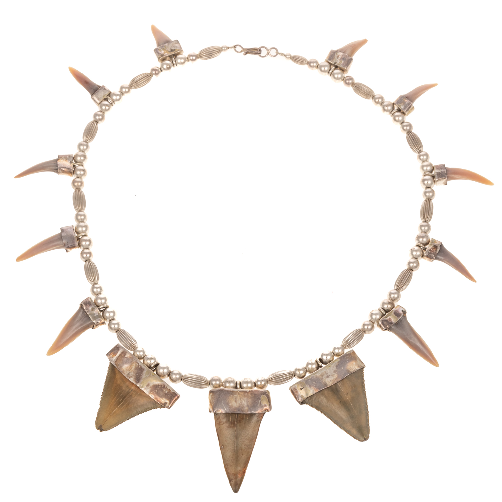 A NATIVE AMERICAN 13 SHARK TOOTH