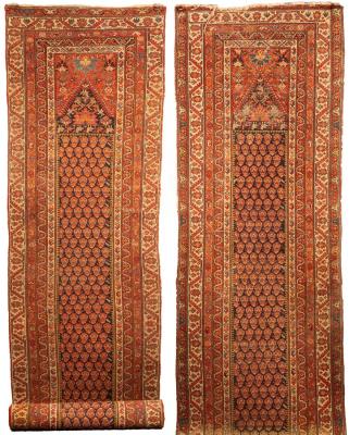 A near pair of Malayir runners,