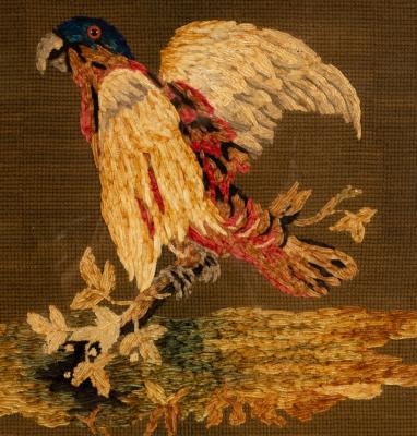 A needlework picture of a parrot,