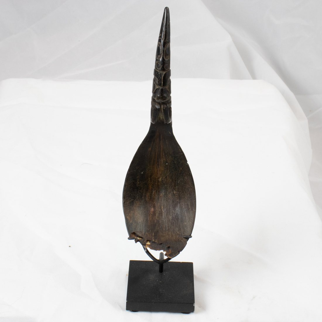 A PACIFIC NORTHWEST COAST HORN
