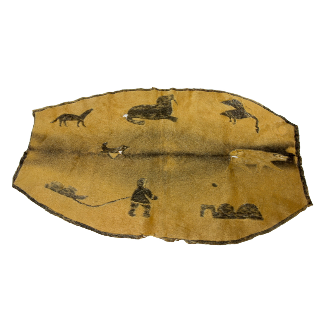 A PACIFIC NORTHWEST SEAL PELT A