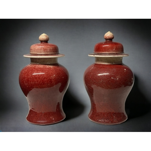 A pair of 18th Century Langyao