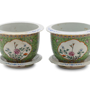 A Pair of Apple Green Ground