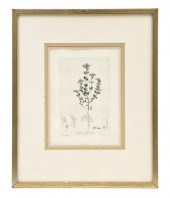 A Pair of Botanical Prints Sow