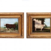 A Pair of Bovine Portraits
Ame