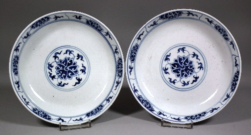 A pair of Chinese blue and white