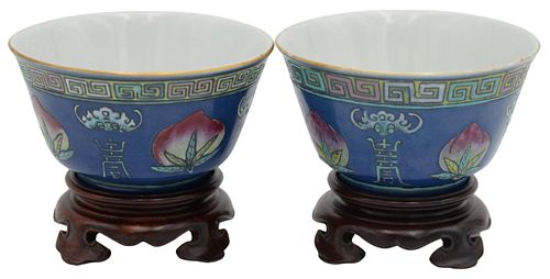 A PAIR OF CHINESE PORCELAIN