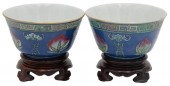 A PAIR OF CHINESE PORCELAIN BO